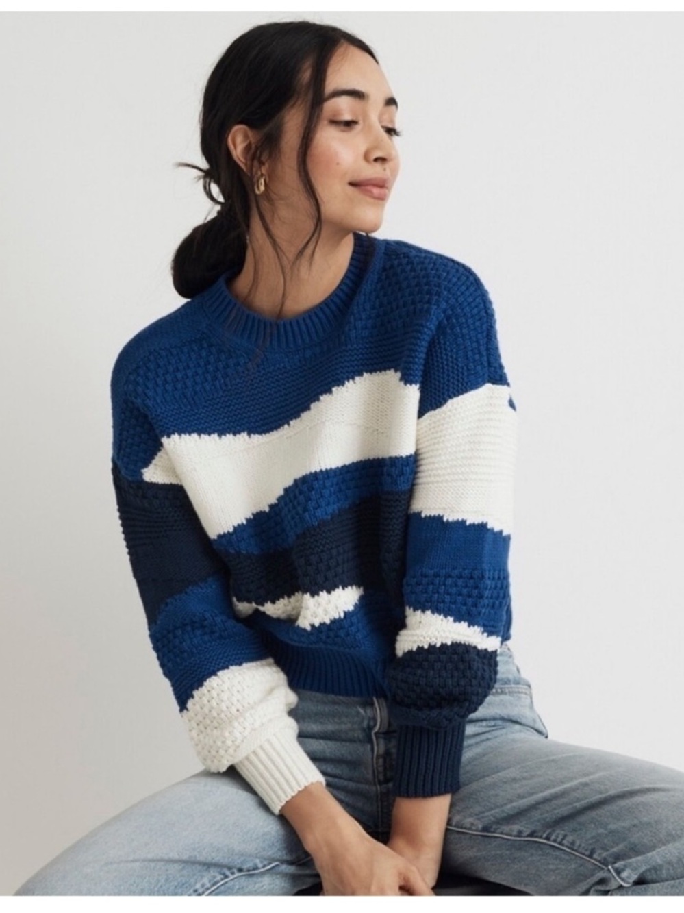 Madewell Blue, Navy & White Intarsia Crewneck Sweater